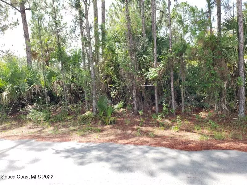 Palm Bay, FL 32909,2657 Foster RD SE