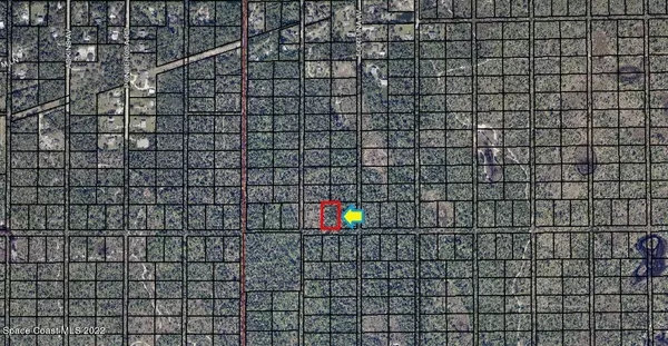 Grant Valkaria, FL 32950,0000 No Access W Of Fortuna AVE