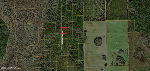 Osteen, FL 32764,0000 Underhill Branch RD