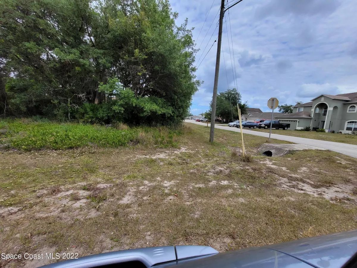 Poinciana, FL 34759,445 Lakeview RD