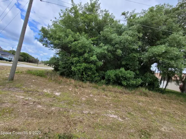 Poinciana, FL 34759,445 Lakeview RD