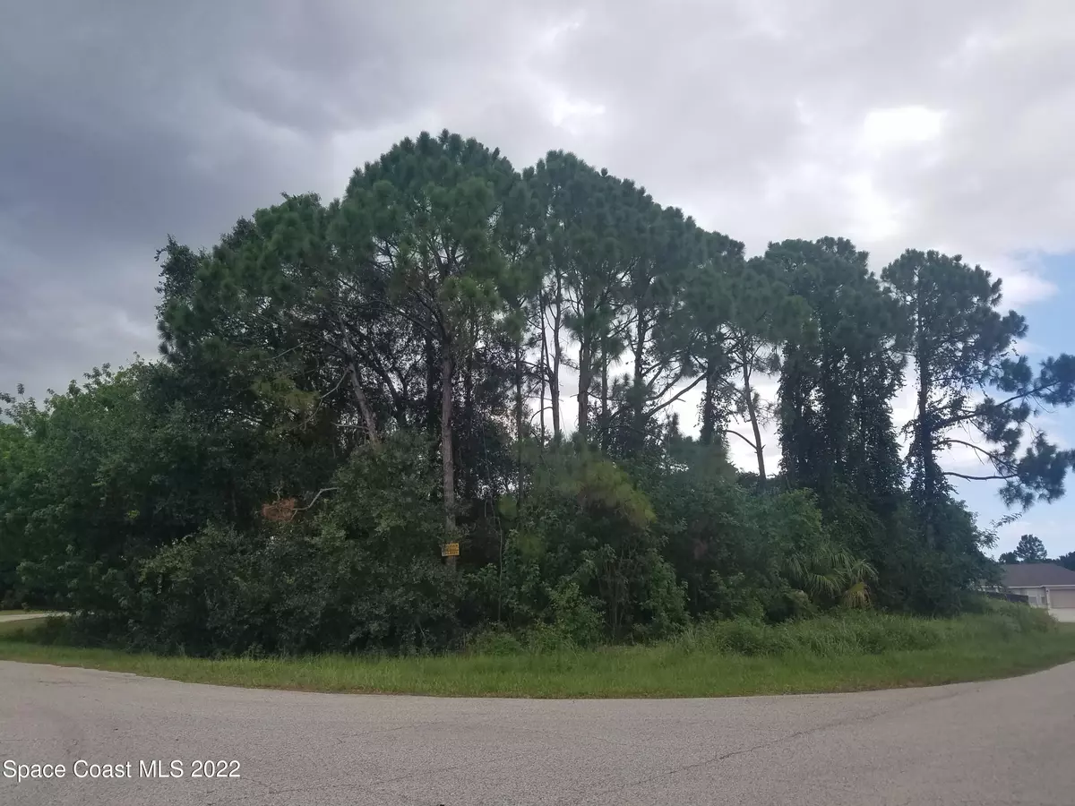 Palm Bay, FL 32909,00 Ramsey RD SE