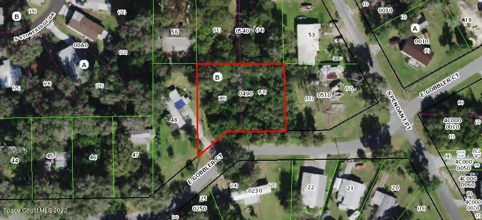 8167 E Gobbler CT, FL 34436