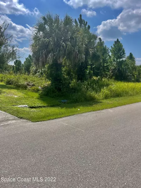 446 Ganley ST SW, Palm Bay, FL 32908