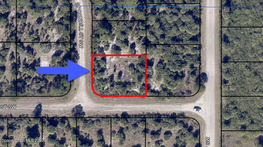 Lot 20 Spoonbill ST SW, Palm Bay, FL 32908