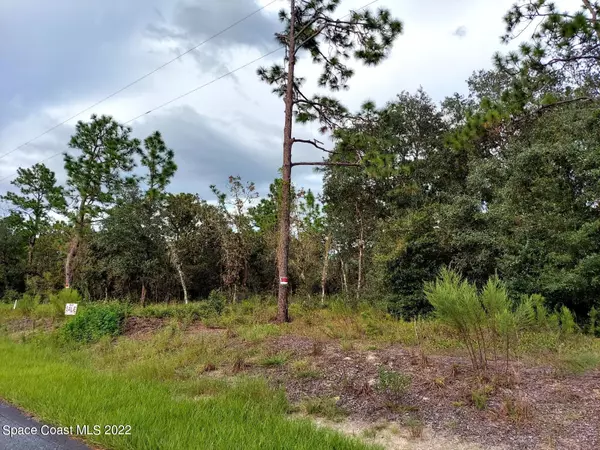 Dunnellon, FL 34431,0 SW Ivy PL