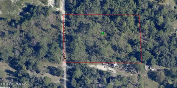 Crystal River, FL 34428,4387 N Mandrake PT