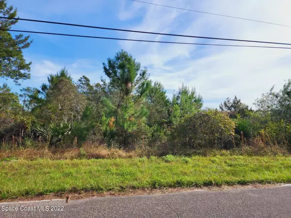 Mims, FL 32754,Tbd Blounts Ridge