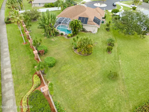 Rockledge, FL 32955,891 Sandhill Crane CT