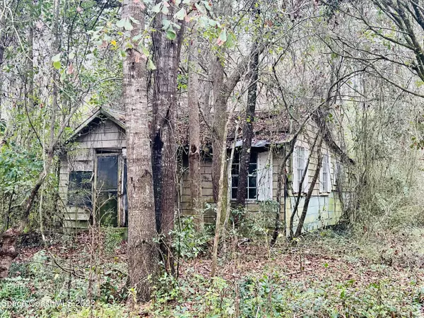 166 Johnson ST, Greenville, FL 32331