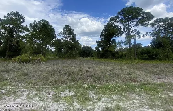 Lehigh Acres, FL 33974,726 Santa Lucia AVE S