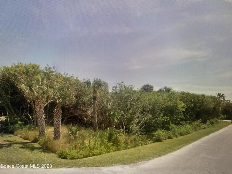 6300 Engram RD, New Smyrna Beach, FL 32169
