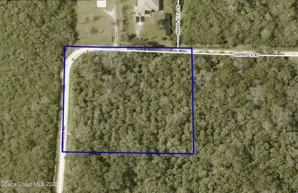 Mims, FL 32754,0000 Hammock RD