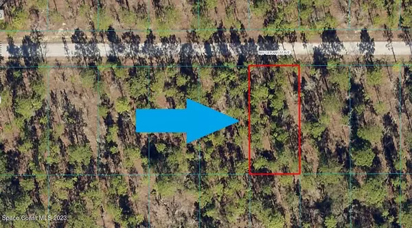 Dunnellon, FL 34431,Lot 13 NW Geranium AVE