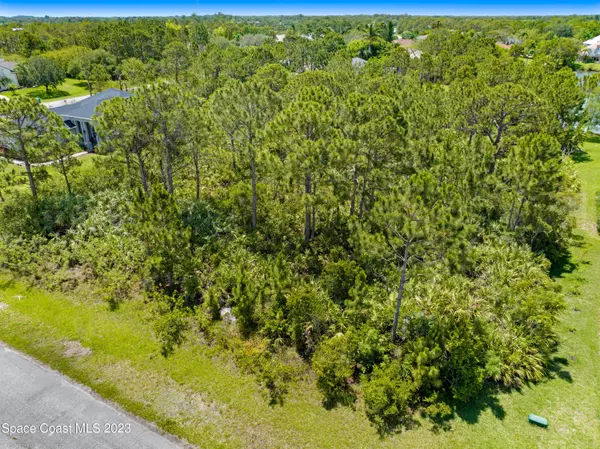 Grant Valkaria, FL 32949,3671 Painted Bunting PL