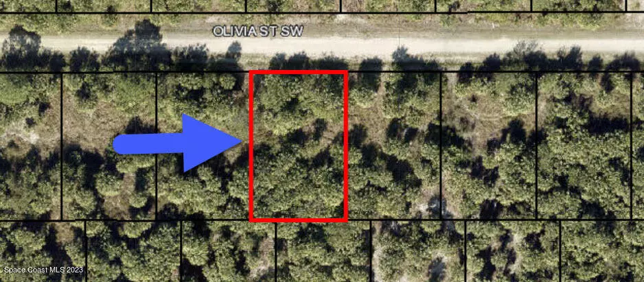 Palm Bay, FL 32908,860 Olivia ST