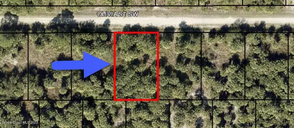 860 Olivia ST, Palm Bay, FL 32908