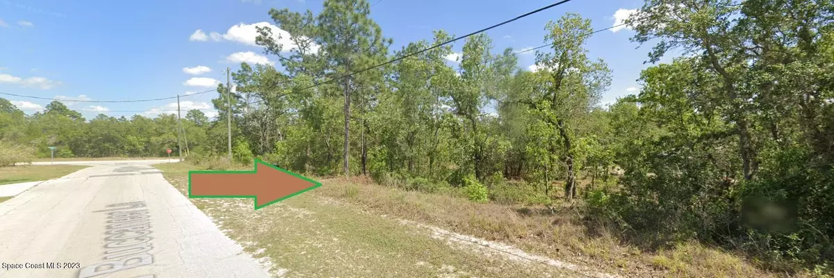 Dunnellon, FL 34433,2820 W Buccaneer LN