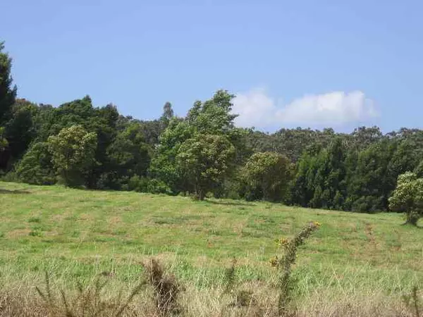 Makawao, HI 96768,0 Kahakapao Rd