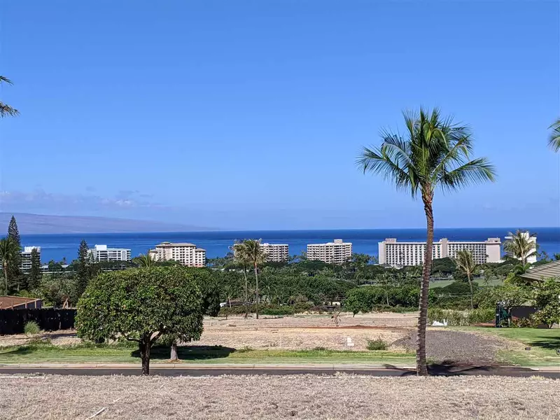 45 Lolii Pl #37 phase 1, Lahaina, HI 96761