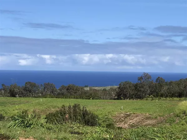 Lahaina, HI 96761,766 Laulama Pl #Lot 40