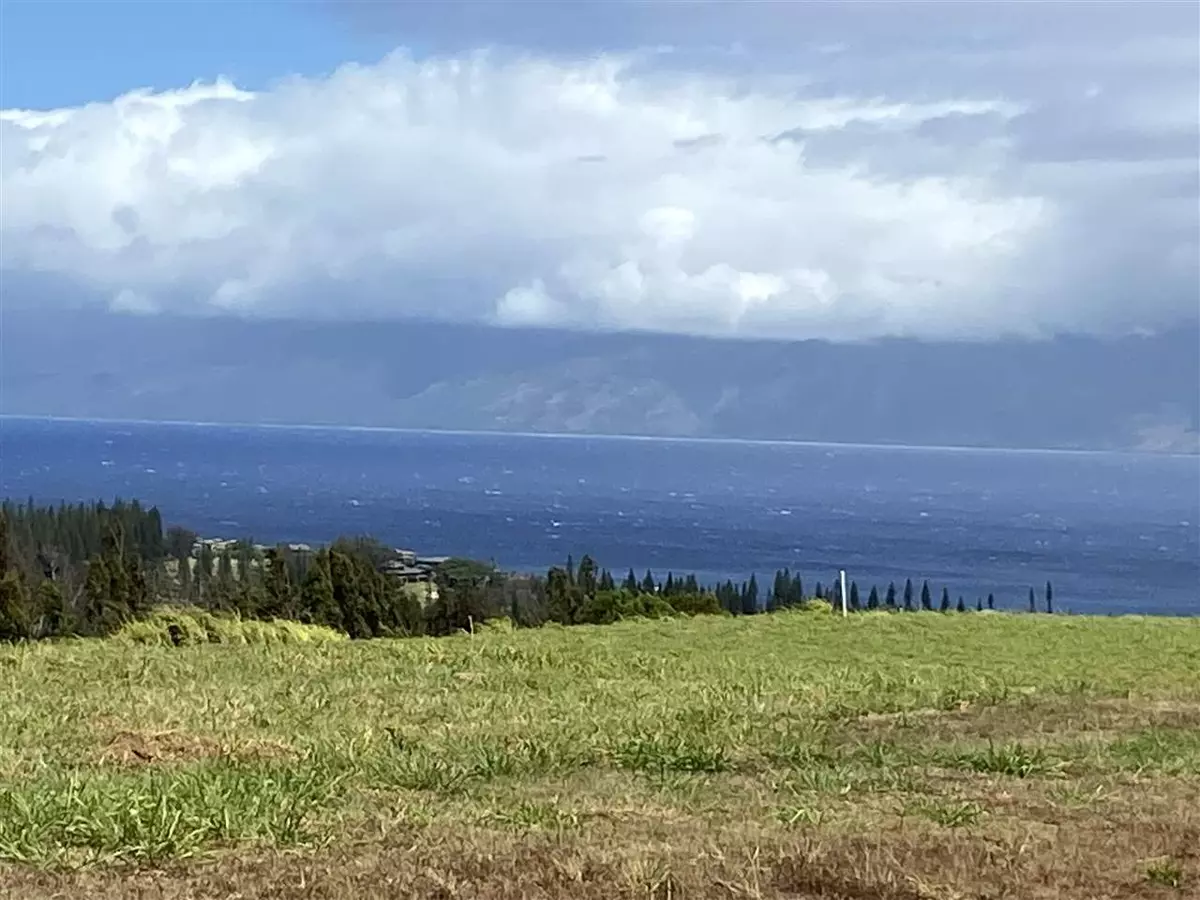 Lahaina, HI 96761,630 Mahana Ridge St #Lot 38