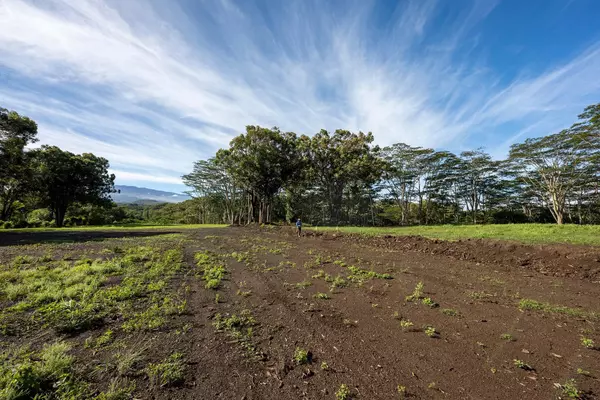 Haiku, HI 96708,480 E Kuiaha Rd