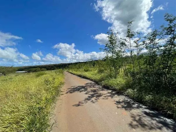 Kula, HI 96790,34 Apali WAY #Lot 12