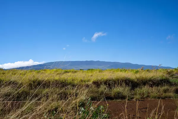 Makawao, HI 96768,955 Haliimaile Rd