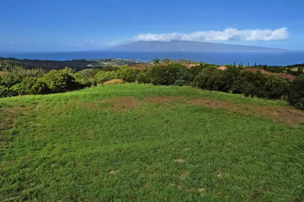 Lahaina, HI 96761,208 Kalaunu WAY #12