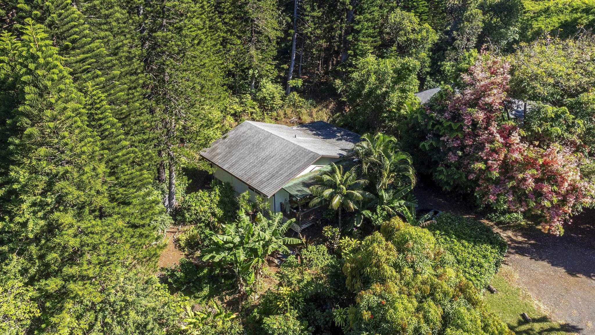 998 Kauhikoa Rd ##4, Haiku, HI 96708