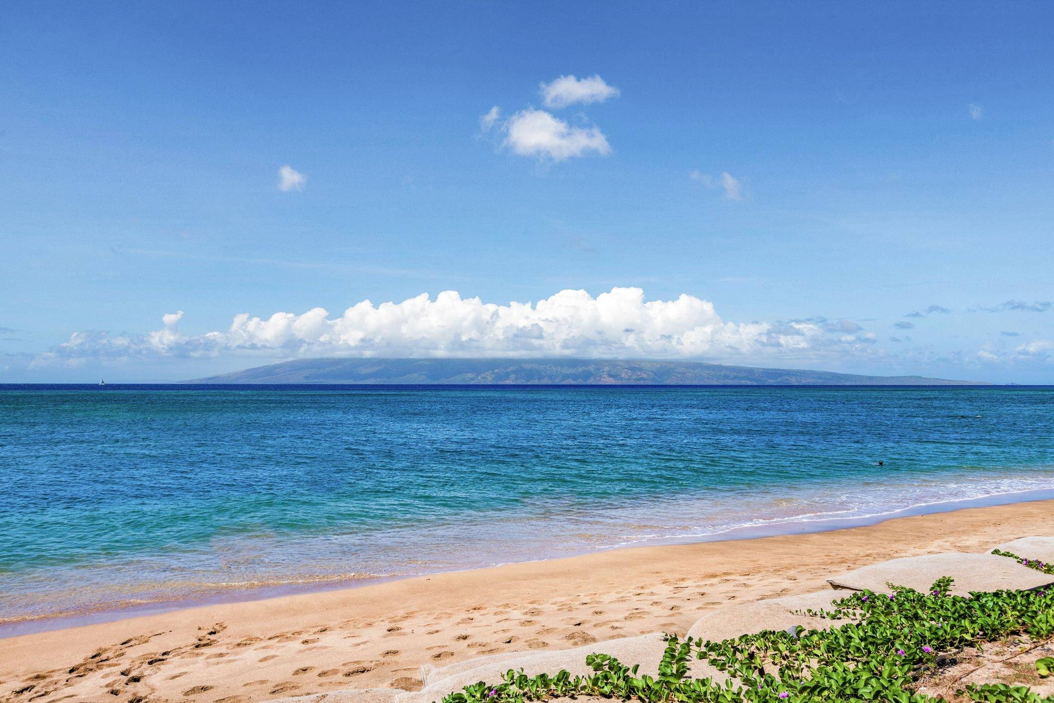 4401 Lower Honoapiilani Rd #A-103, Lahaina, HI 96761