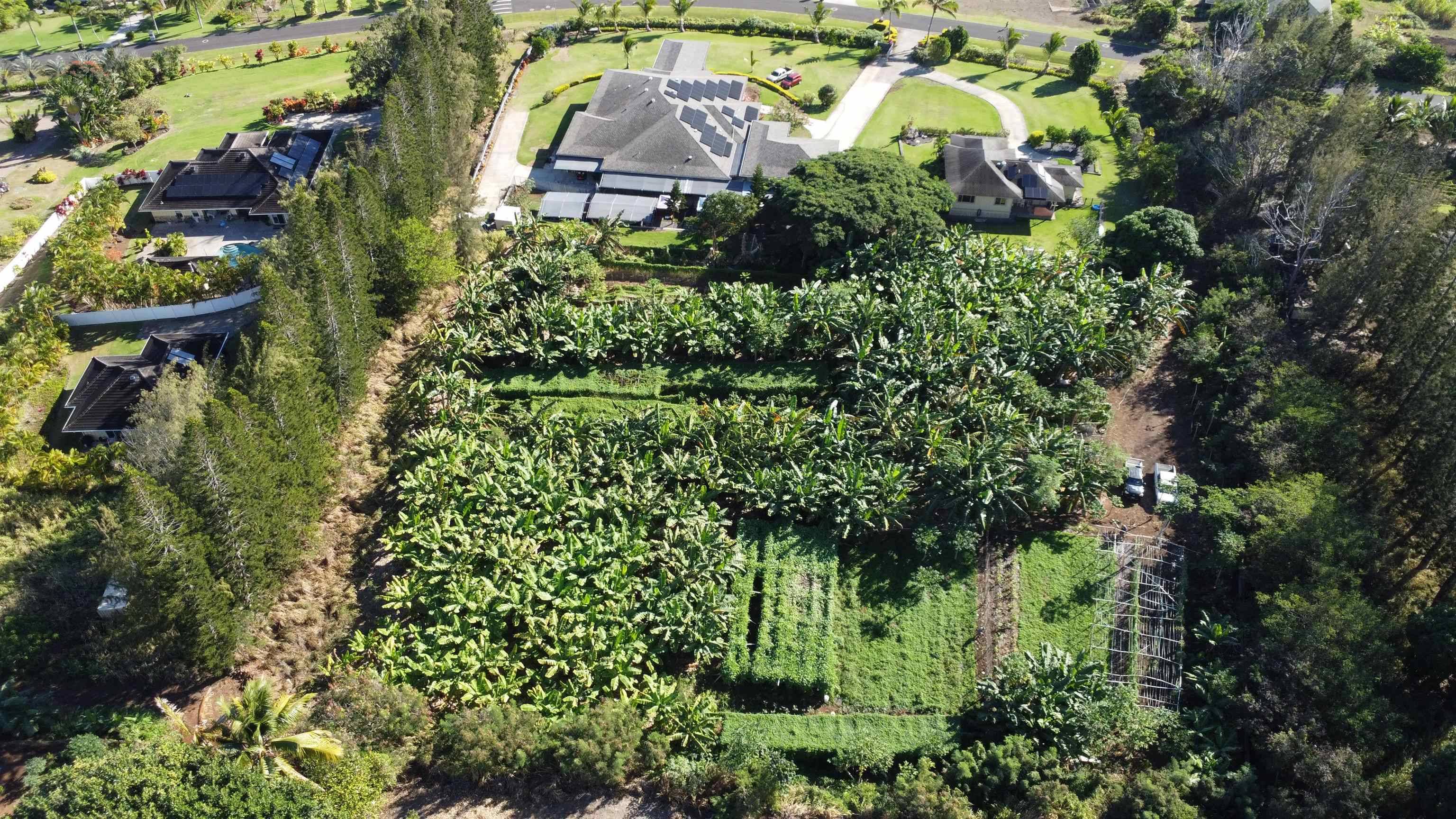 Wailuku, HI 96793,491 Anekona St