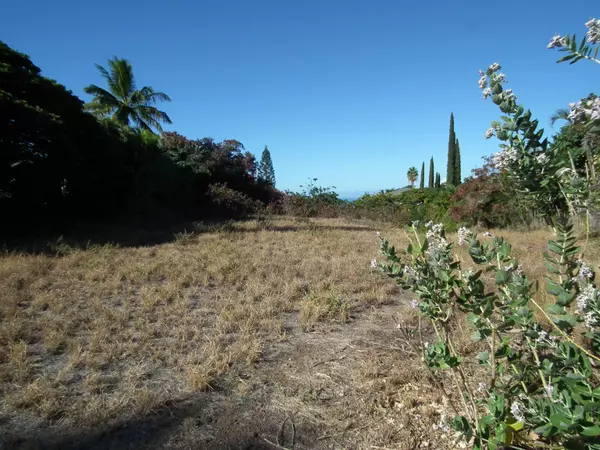 769 Kumulani Dr, Kihei, HI 96753