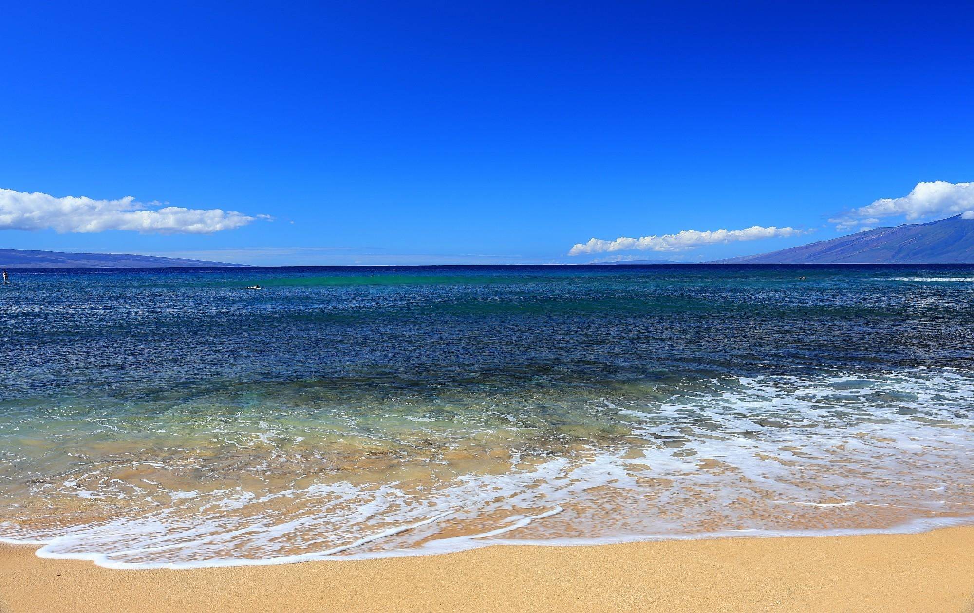 110 Kaanapali Shores Pl #412, Lahaina, HI 96761