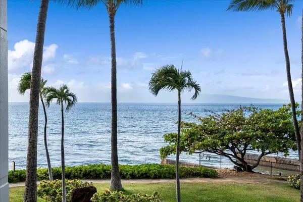 3445 Lower Honoapiilani Rd #204, Lahaina, HI 96761