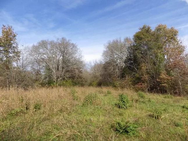 Starkville, MS 39759