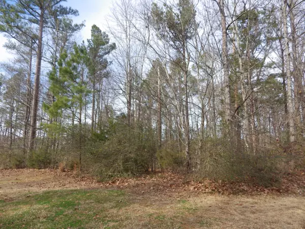 Starkville, MS 39759,Lot 320 Greeenbriar Street