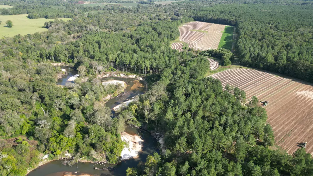 Taylorsville, MS 39168,222 Gilmer Rd