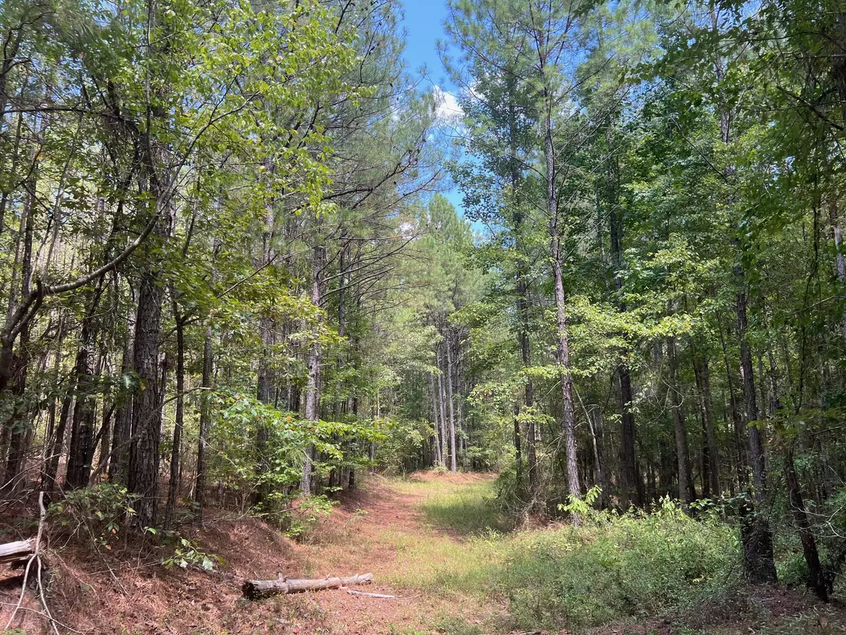 Sallis, MS 39160,CR 4022