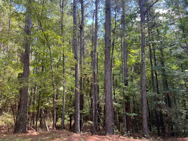 Sallis, MS 39160,CR 4022