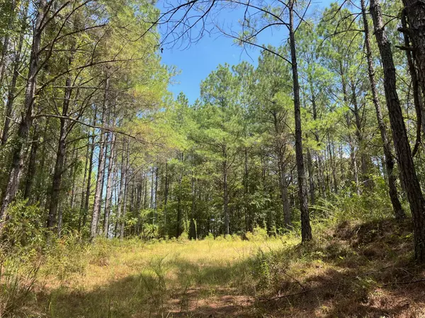 Sallis, MS 39160,CR 4022