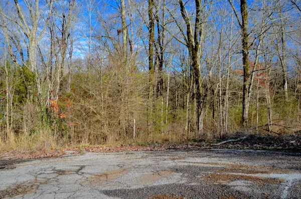 West Point, MS 39773,Dogwood Dr (Lot 21)