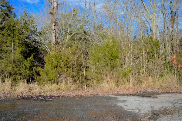 West Point, MS 39773,Dogwood Dr (Lot 21)