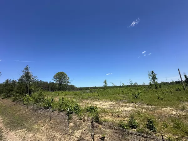 Maben, MS 39750,Bluitt Rd