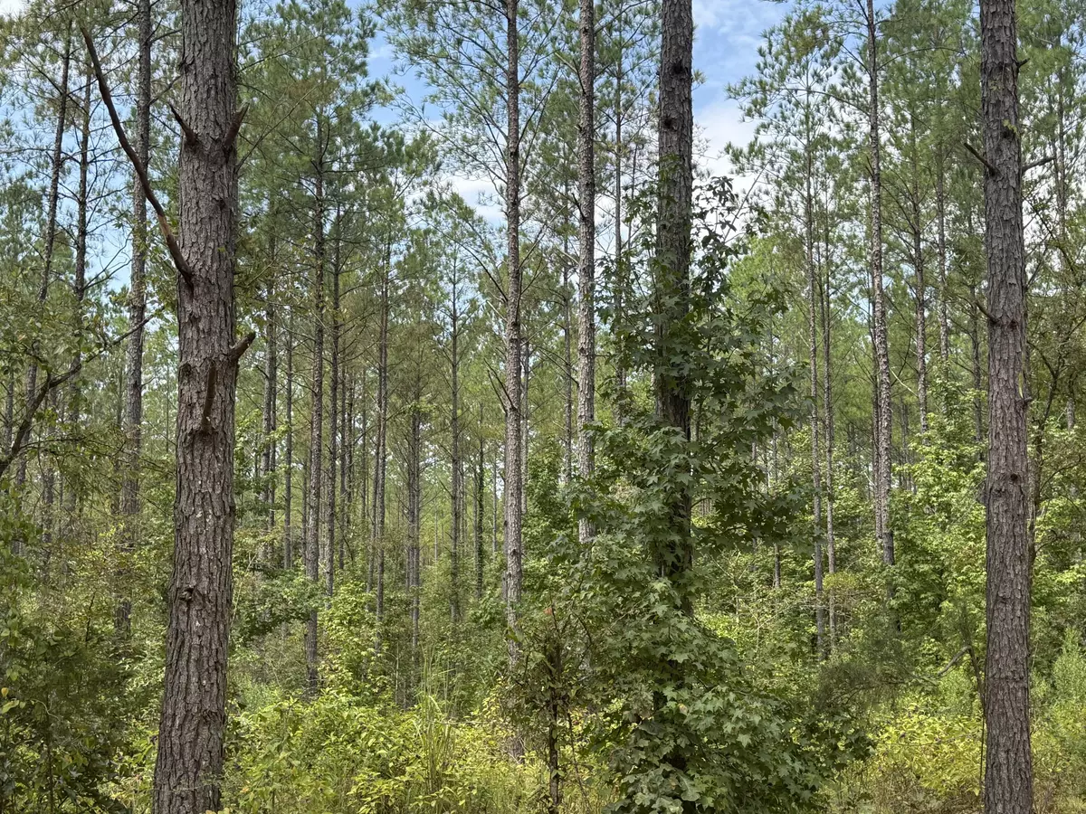Starkville, MS 39759,Harpole Rd