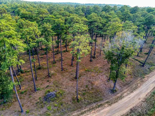 Brookeland, TX 75931,Tract 1-45 Sam Rayburn Shores