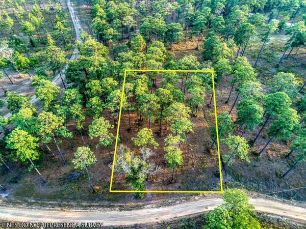 Brookeland, TX 75931,Tract 1-45 Sam Rayburn Shores