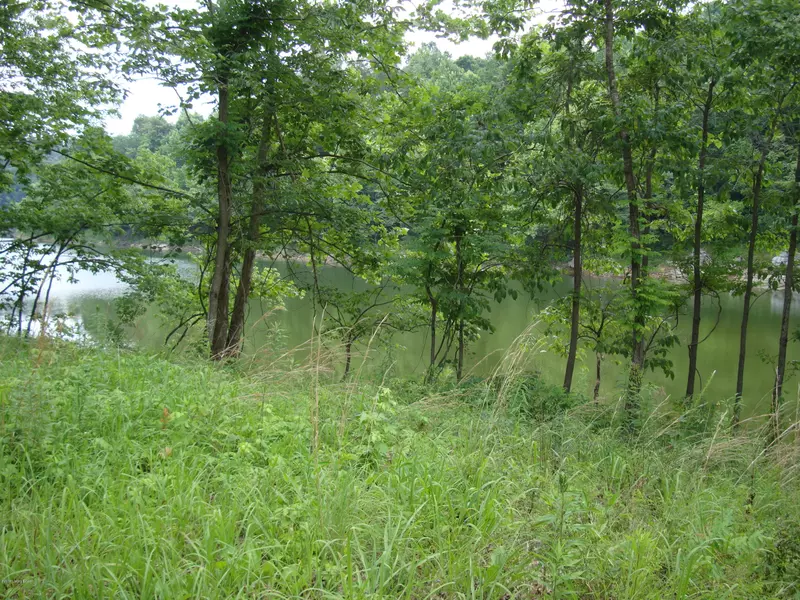 Lot 84 Gannaway Rd, Leitchfield, KY 42754