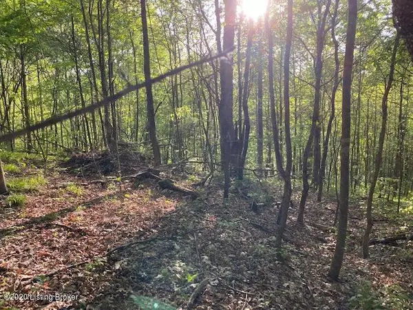 Bee Springs, KY 42207,50 JenJohn Rd